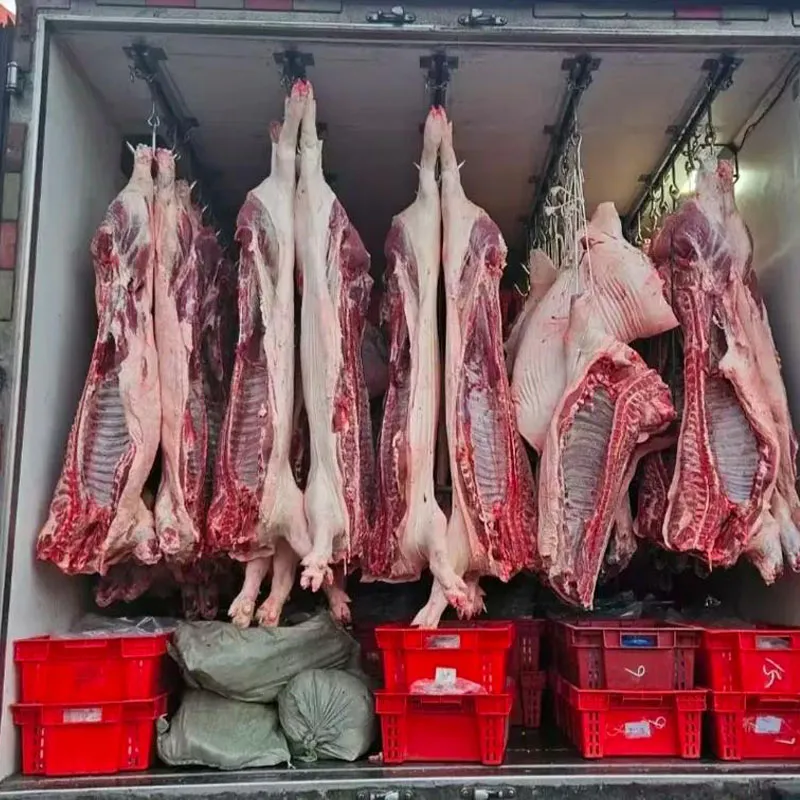 Refrigerated Truck Application