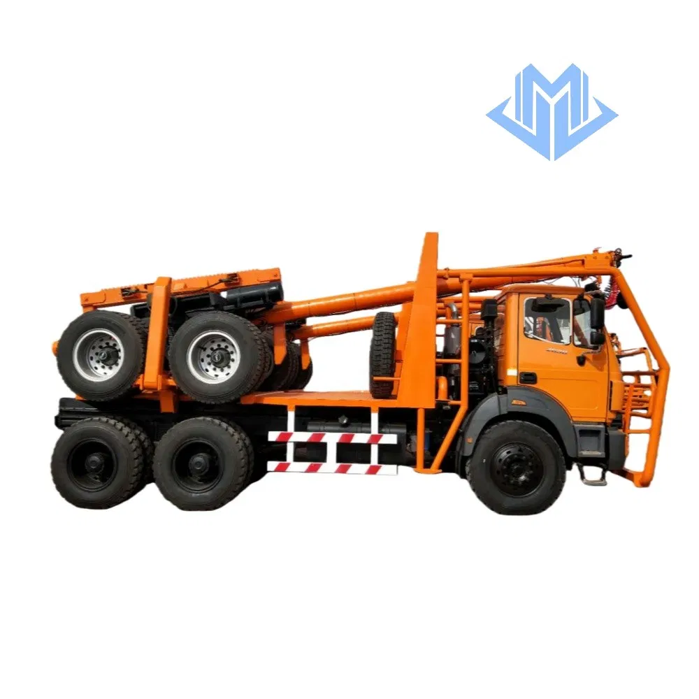 Customized 6X4/4X4 Log Wood Timber Forest Logging Carrier Transport Truck Vehicle for Sale