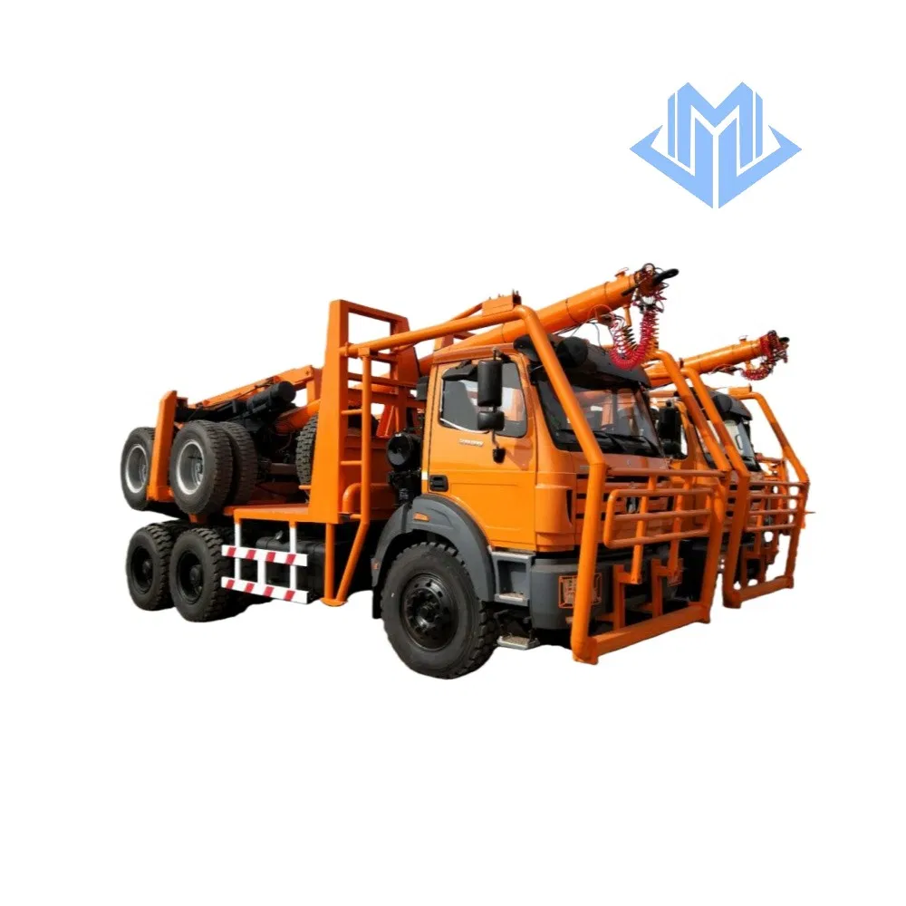 Customized 6X4/4X4 Log Wood Timber Forest Logging Carrier Transport Truck Vehicle for Sale