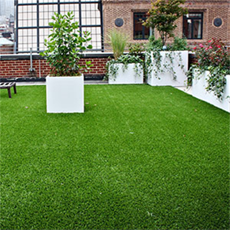 Low maintenance garden