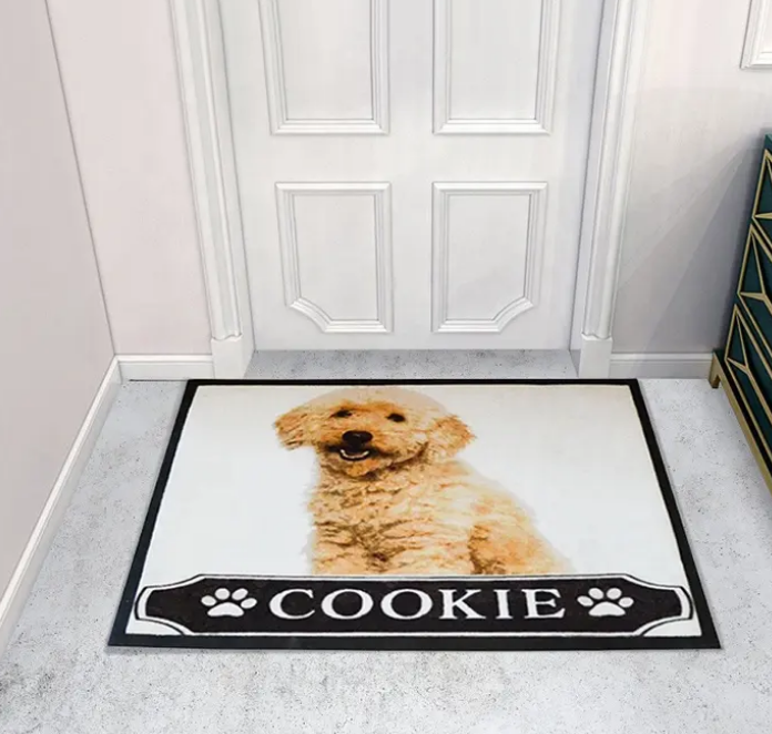 High-Quality Personalized Logo Doormat Nylon Printed Carpets and Rugs With Rubber Backing Custom Printed Logo Door Mat Manufacturers, Suppliers