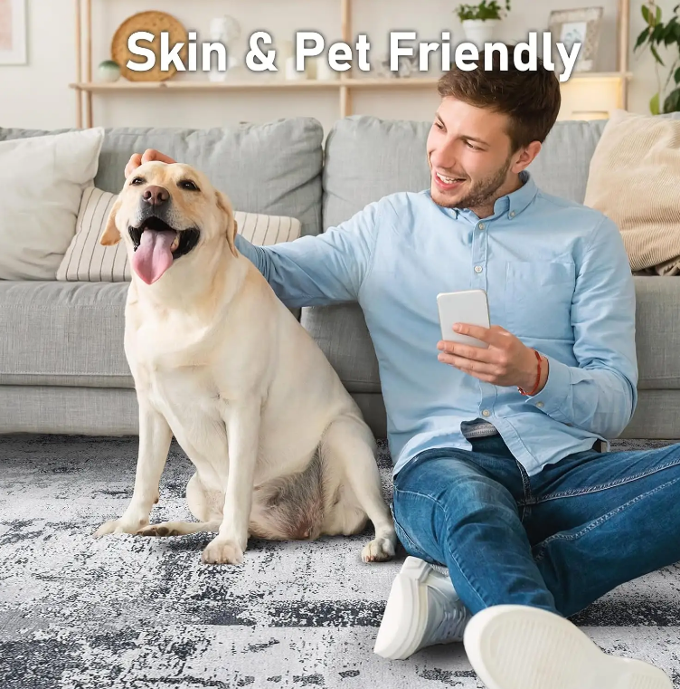 High-Quality CF Manufacturer silkg straight Luxury style Chenille indoor Area Regional rugs for Custom Print Persian Area carpets washable Supplier, Factories