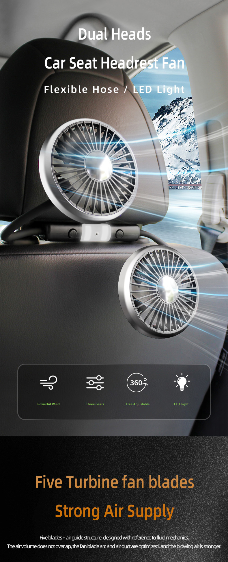 F310 Detail 1