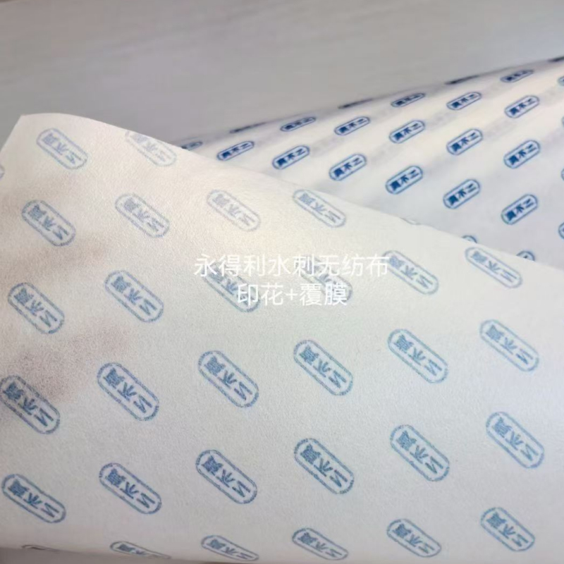 High-Quality Film Laminated Spunlace Fabric Products Factory, Factories
