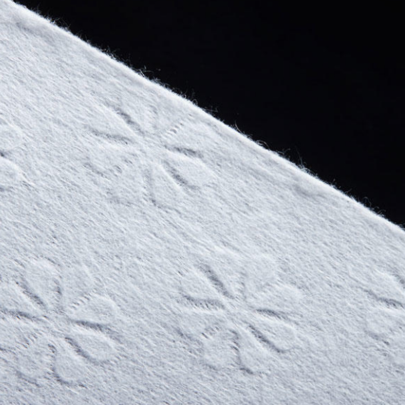 High-Quality Embossed Nonwoven Fabric Products Company, Products