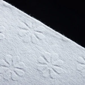 Embossed Nonwoven Fabric