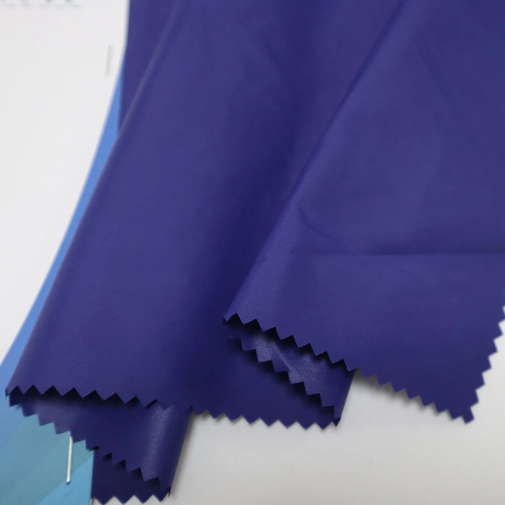 Eco-Friendly 55GSM Recycled Nylon Fabric with Heavy Cire &amp; Waterproof Finishing for Sustainable Apparel