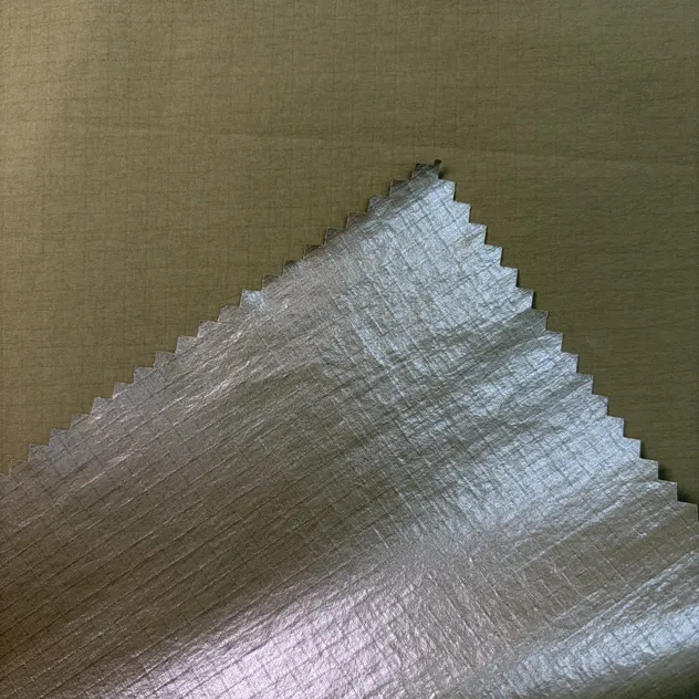 Fabric Detail 1