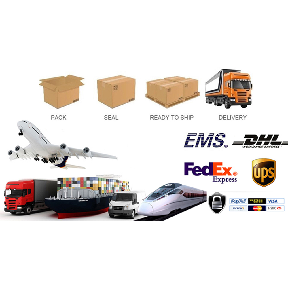 Packaging & Shipping Processes