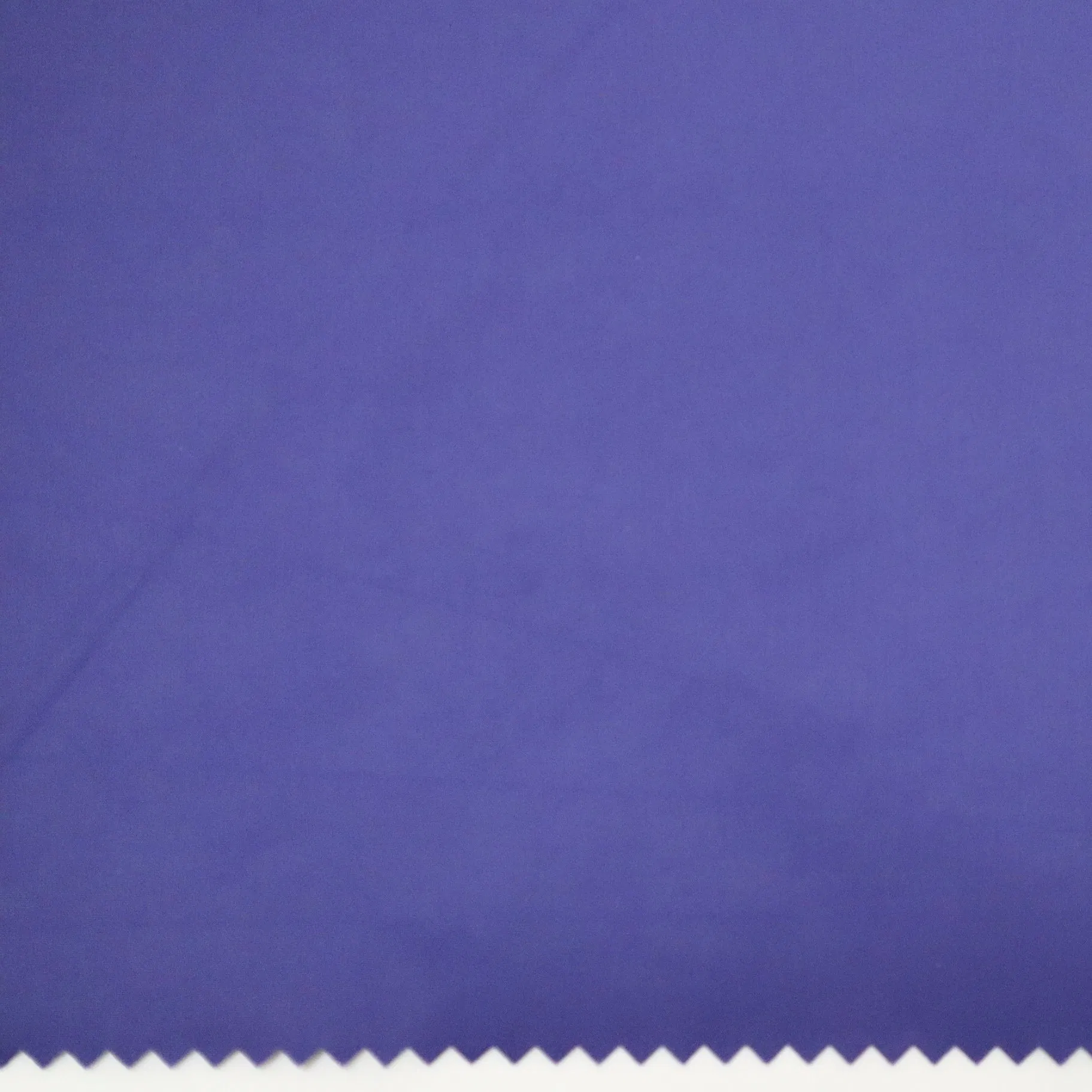 Eco-Friendly 55GSM Recycled Nylon Fabric with Heavy Cire &amp; Waterproof Finishing for Sustainable Apparel