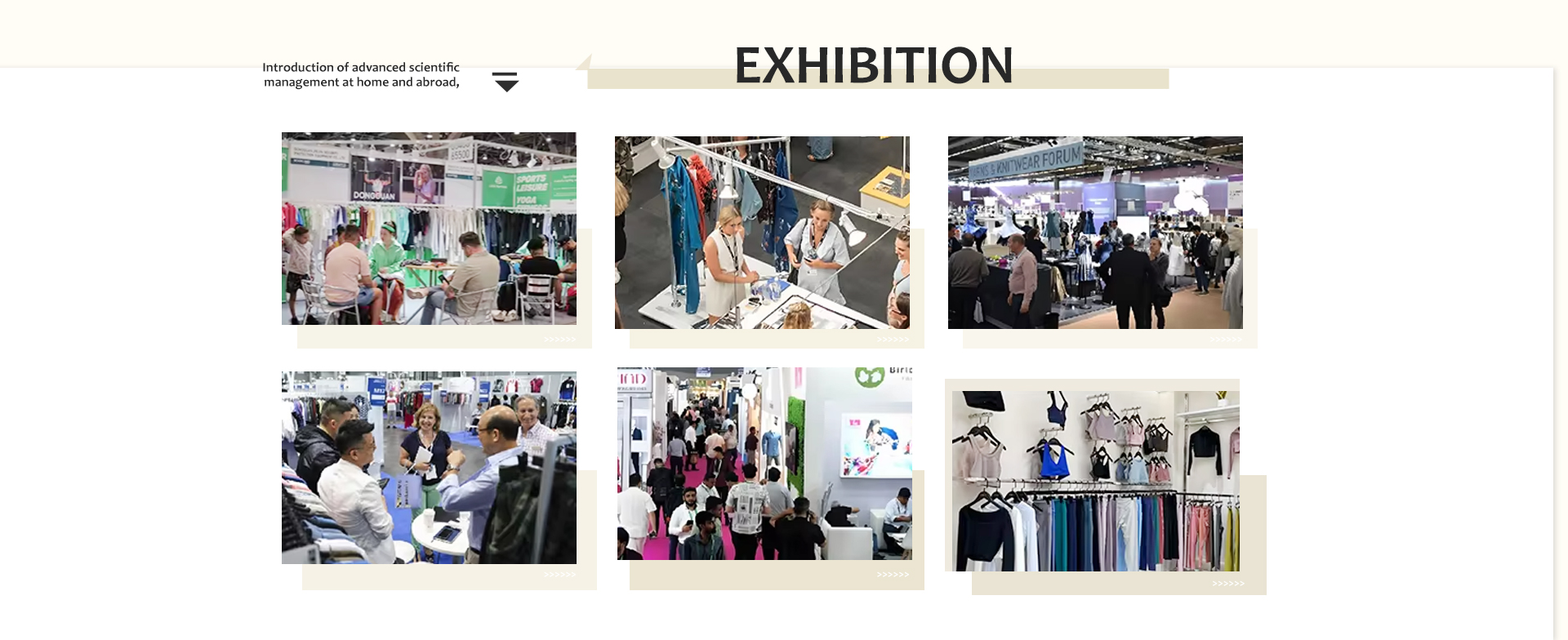 Product Showcase 4