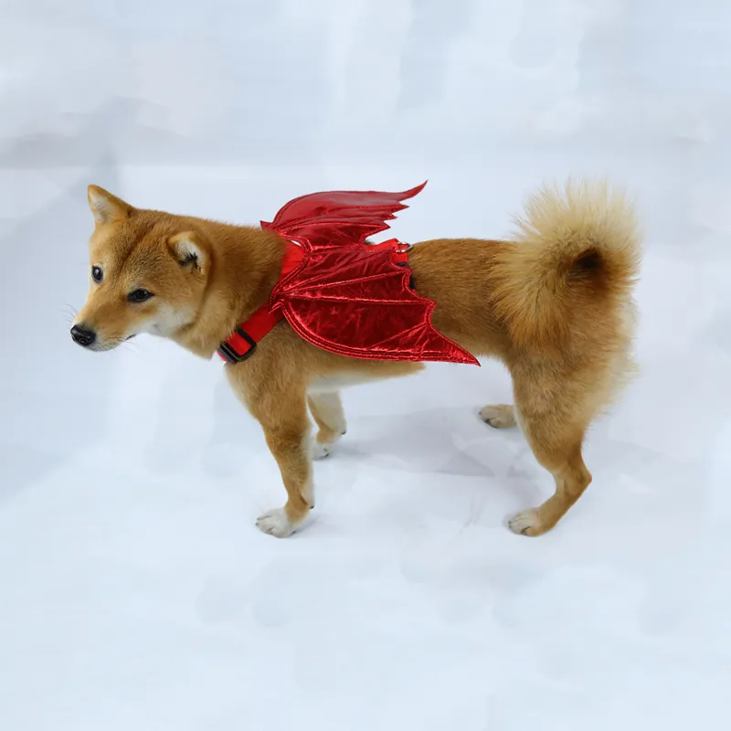 Custom Felt Bat Large Small Pet Apparel Dog Clothes Pet Halloween Costume