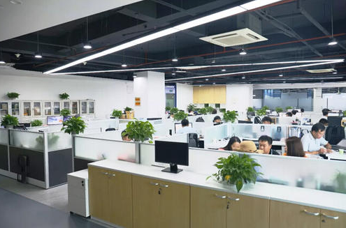 Company Showcase 4
