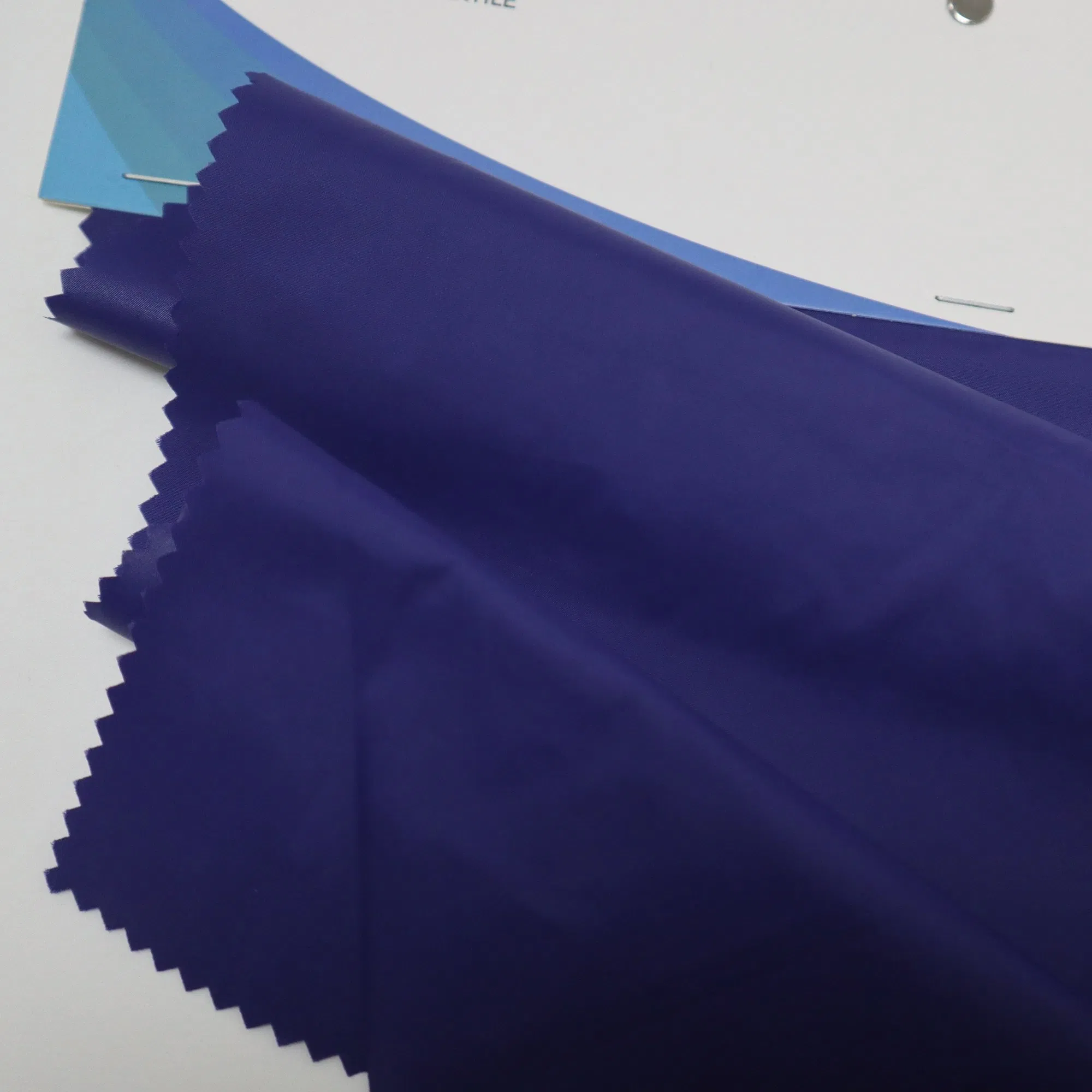 Eco-Friendly 55GSM Recycled Nylon Fabric with Heavy Cire &amp; Waterproof Finishing for Sustainable Apparel