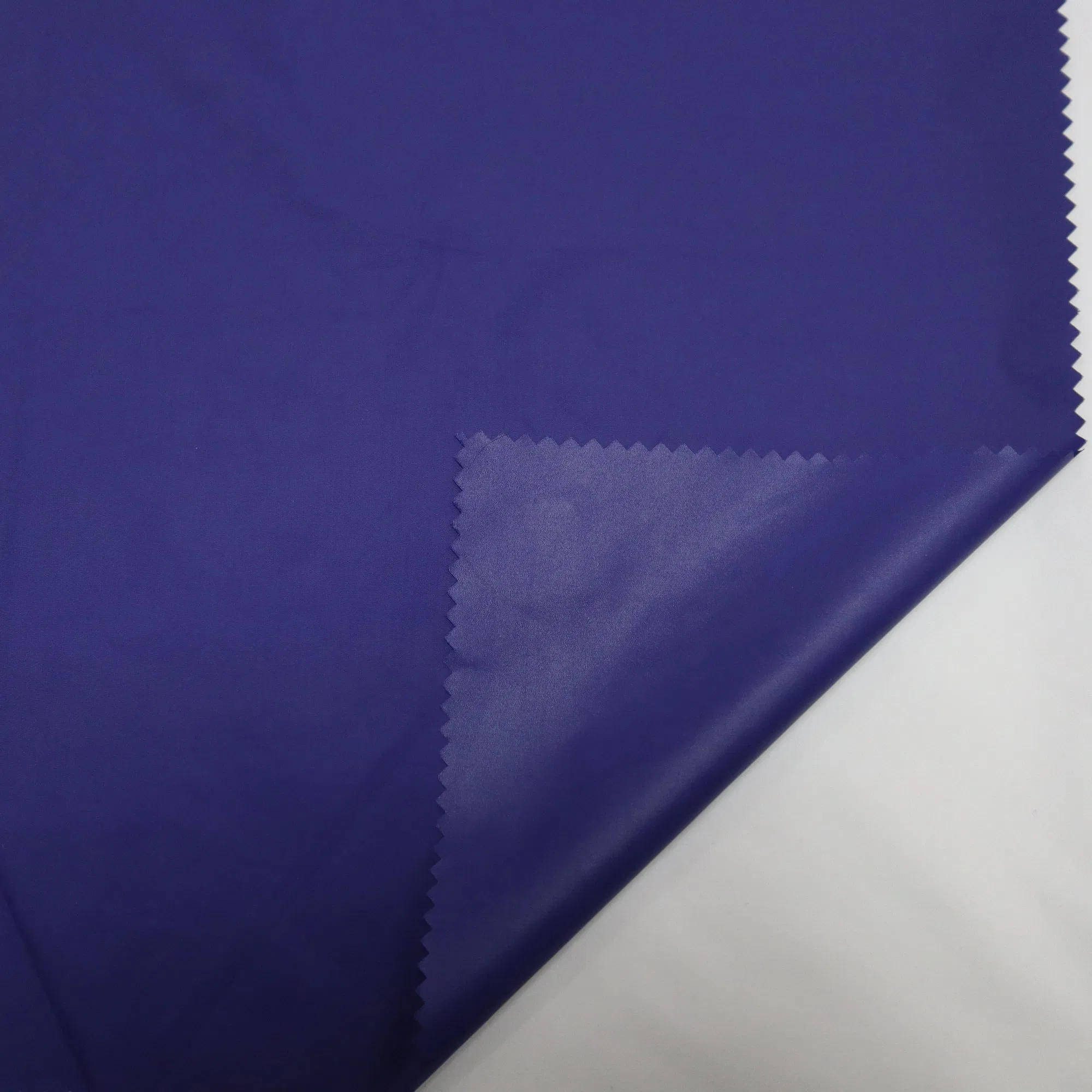 Eco-Friendly 55GSM Recycled Nylon Fabric with Heavy Cire &amp; Waterproof Finishing for Sustainable Apparel