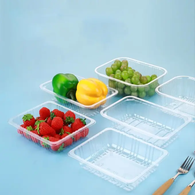 High-Quality Multi-Station Thermoforming Machine Manufacturers, Company