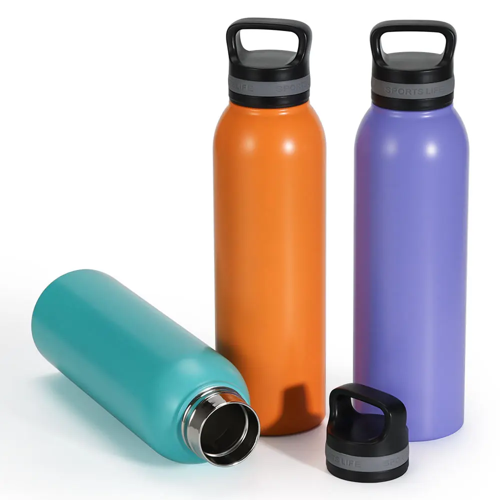 Wholesale Insulated 720ml Stainless Steel Reusable Sports Water Bottle with Handle Lid Suppliers, Factories