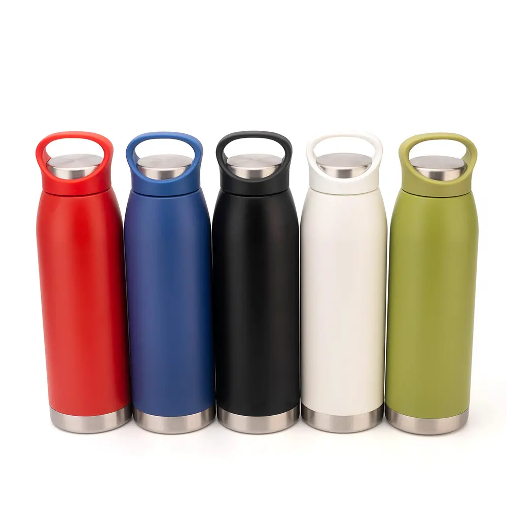 China Custom Vacuum Insulated Water Flask 700ml with Portable Handle Factories, Factory