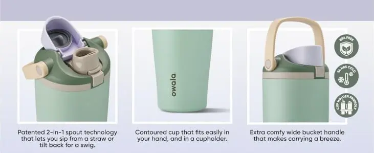 Insulated Stainless Steel Freesip Water Bottle