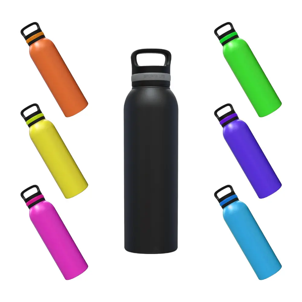 Wholesale Insulated 720ml Stainless Steel Reusable Sports Water Bottle with Handle Lid Suppliers, Factories