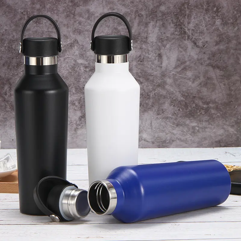 Wholesale New Arrival 500ml/750ml Stainless Steel Vacuum Insulated Thermos Sports Water Bottle with Handle Supplier, Factories