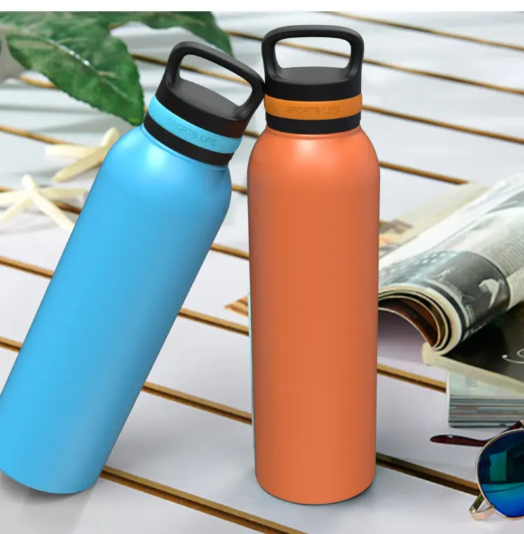 Wholesale Insulated 720ml Stainless Steel Reusable Sports Water Bottle with Handle Lid Suppliers, Factories