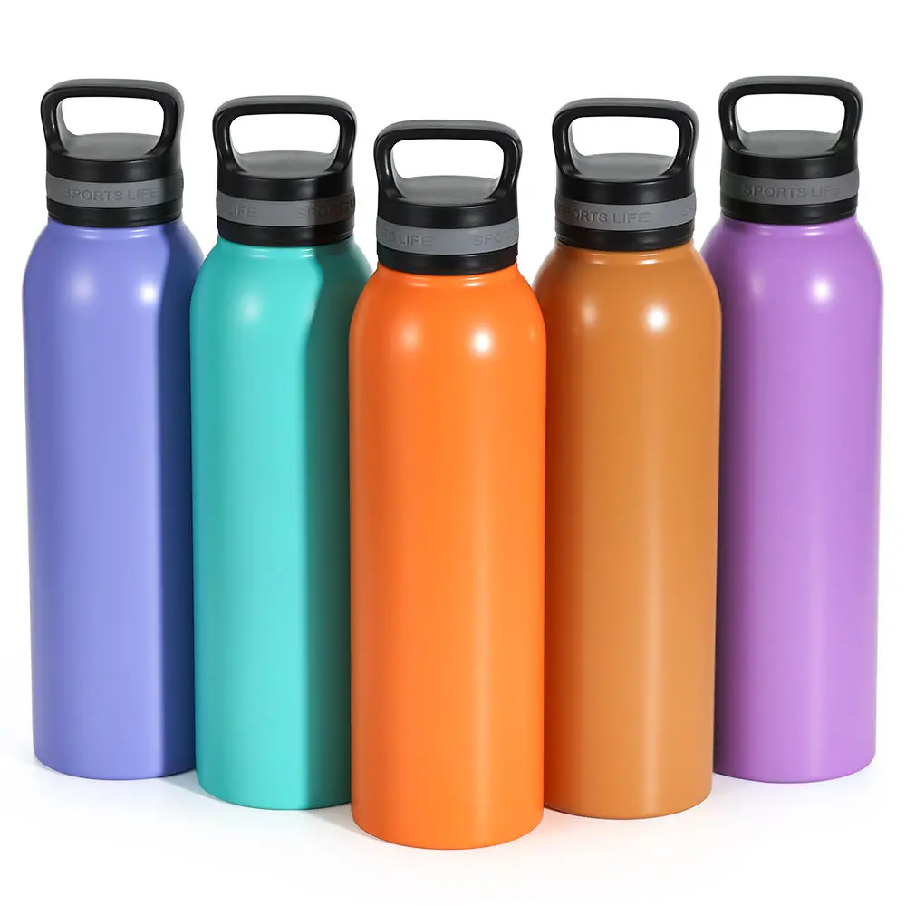 Wholesale Insulated 720ml Stainless Steel Reusable Sports Water Bottle with Handle Lid Suppliers, Factories