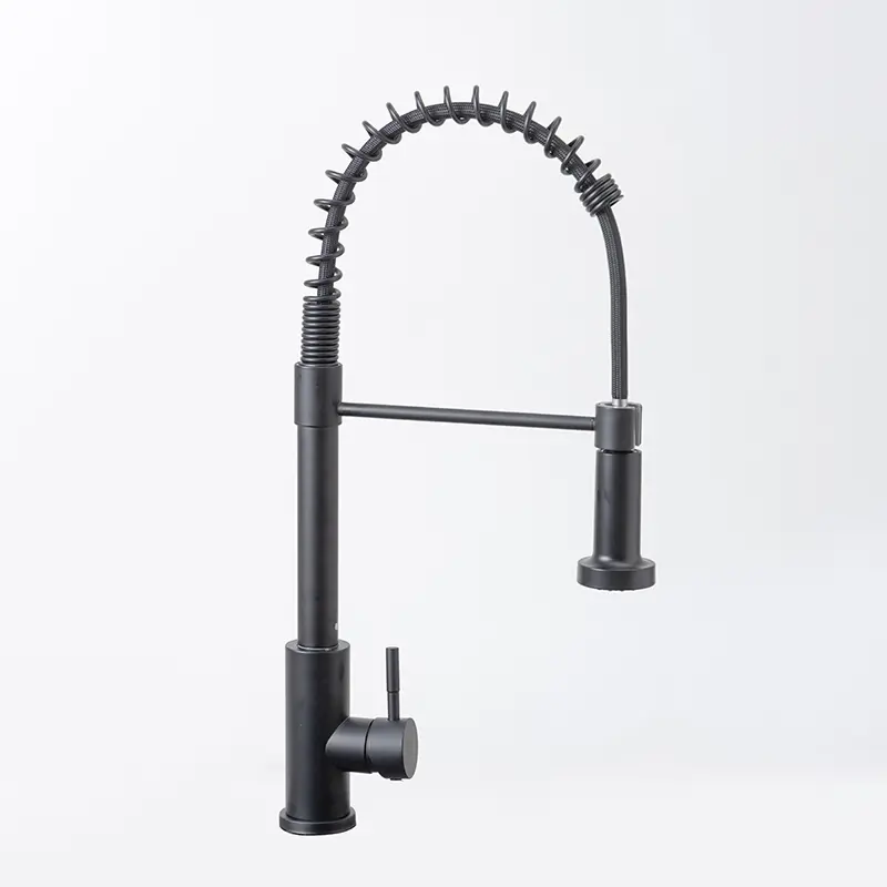Cheap SUS304 stainless steel spring pull-out telescopic kitchen faucet Supplier, Suppliers
