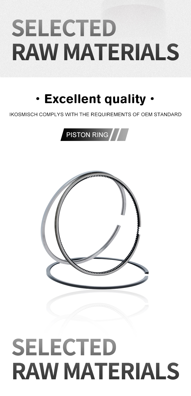 Piston Ring