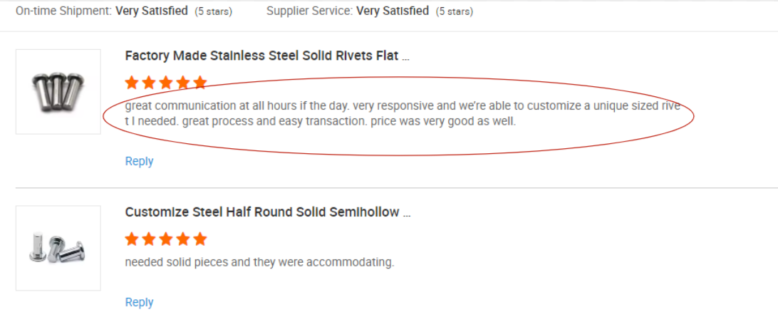 Customer Review 1