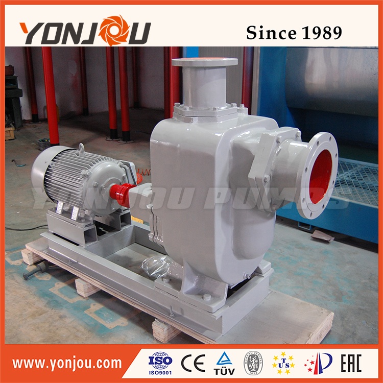 Diesel Engine Hydraulic Pump