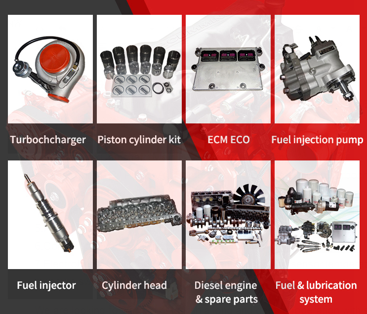 China High Quality 6CT Diesel Engine Spare Parts 3944158 3916840 3901630 Crankshaft Bearing