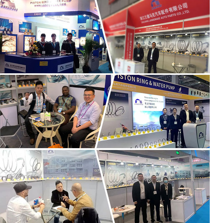 Exhibition Booth and Showcase