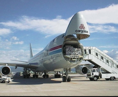 International Transport