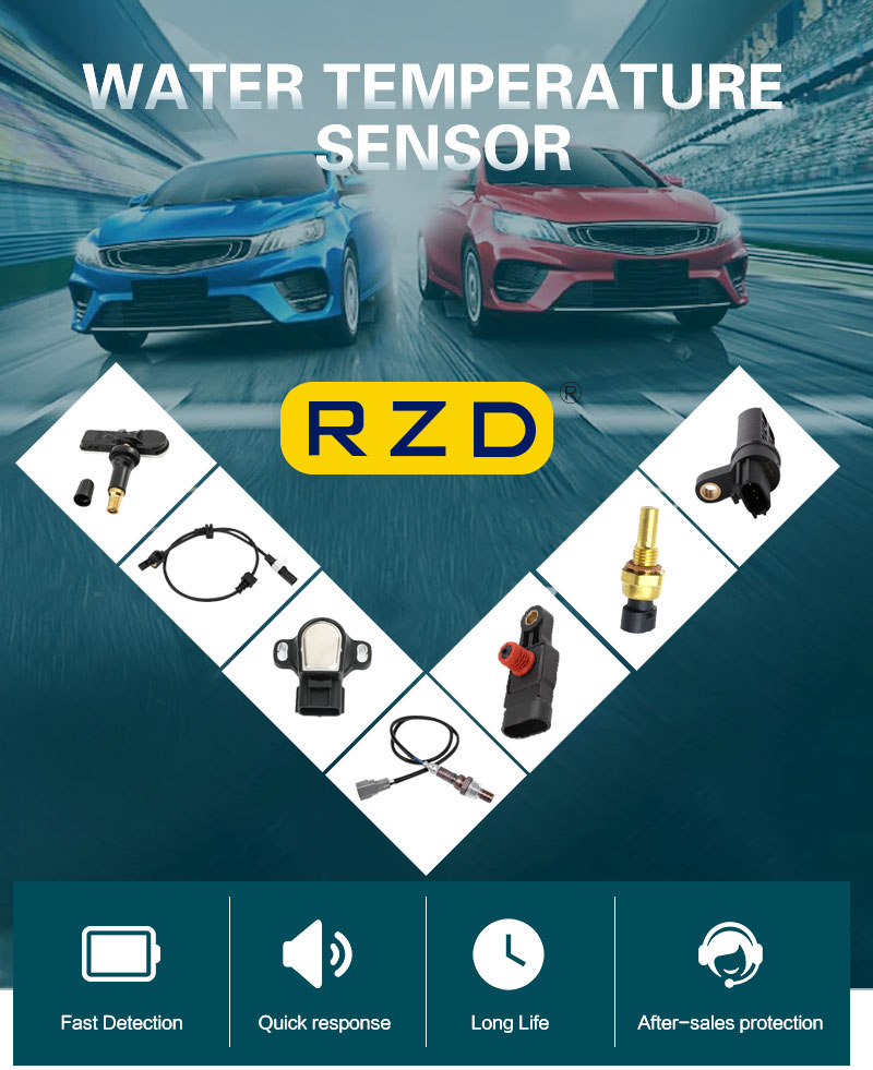 Oxygen Sensor Detail 2