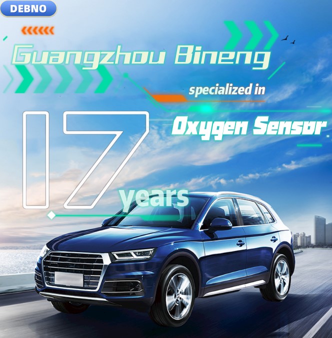 Oxygen Sensor Banner