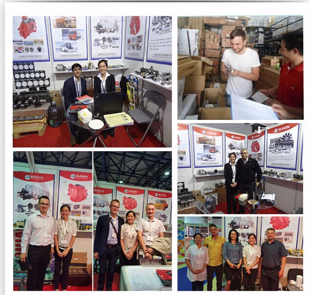China High Quality 6CT Diesel Engine Spare Parts 3944158 3916840 3901630 Crankshaft Bearing