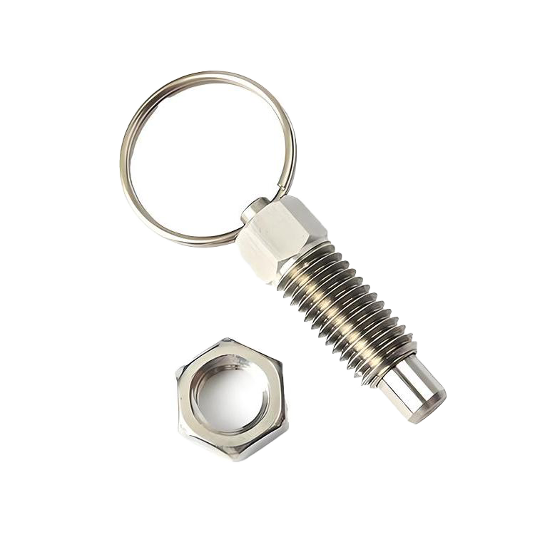 High Quality Fastener Stainless Steel Spring Indexing Pin Plungers