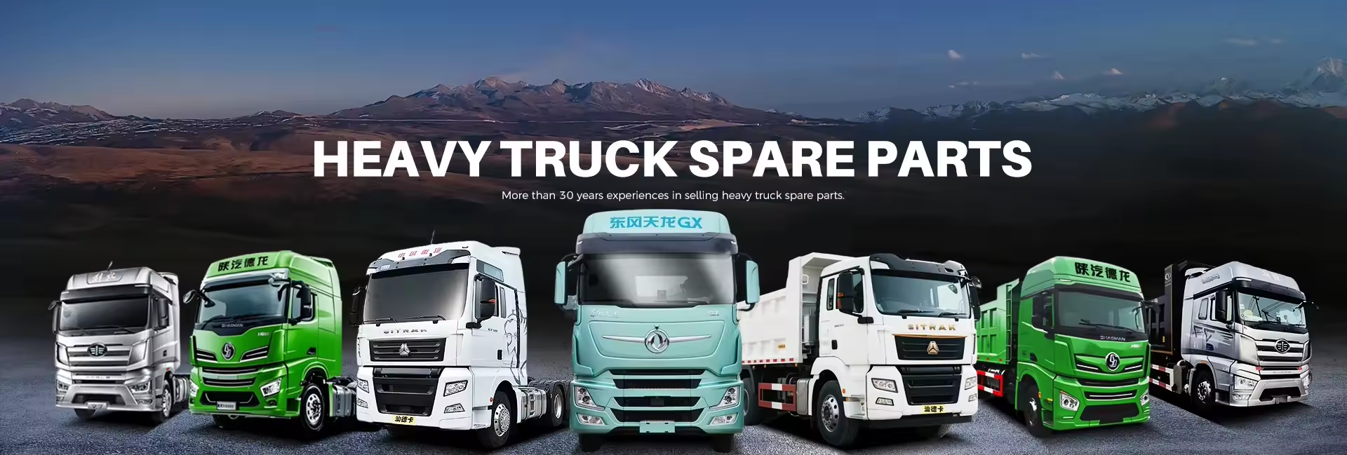 Heavy Truck Parts