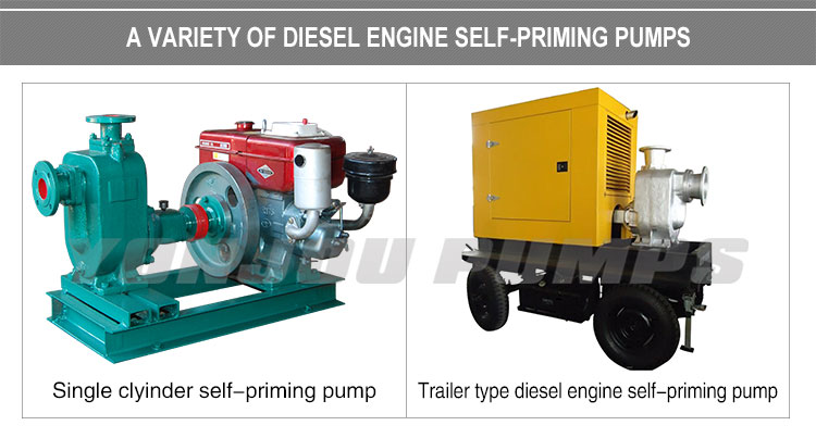 Diesel Engine Hydraulic Pump Details