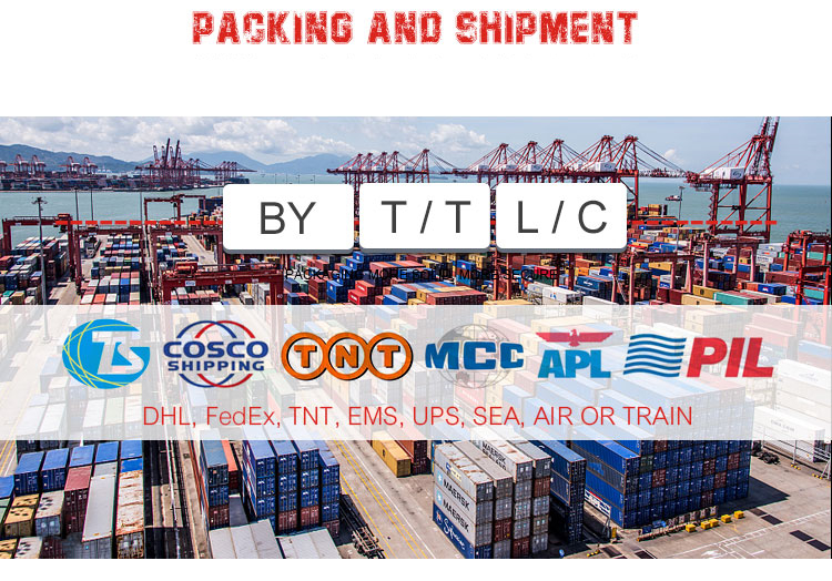 Packing and Delivery Process 1