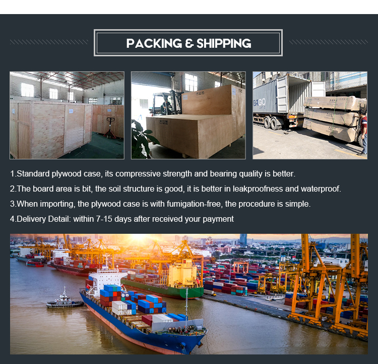 Packing and Shipping