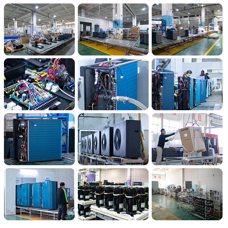Customized Auto Wire Harness Electrical Wiring Assemblies for Autos Cables and Wires Product Category