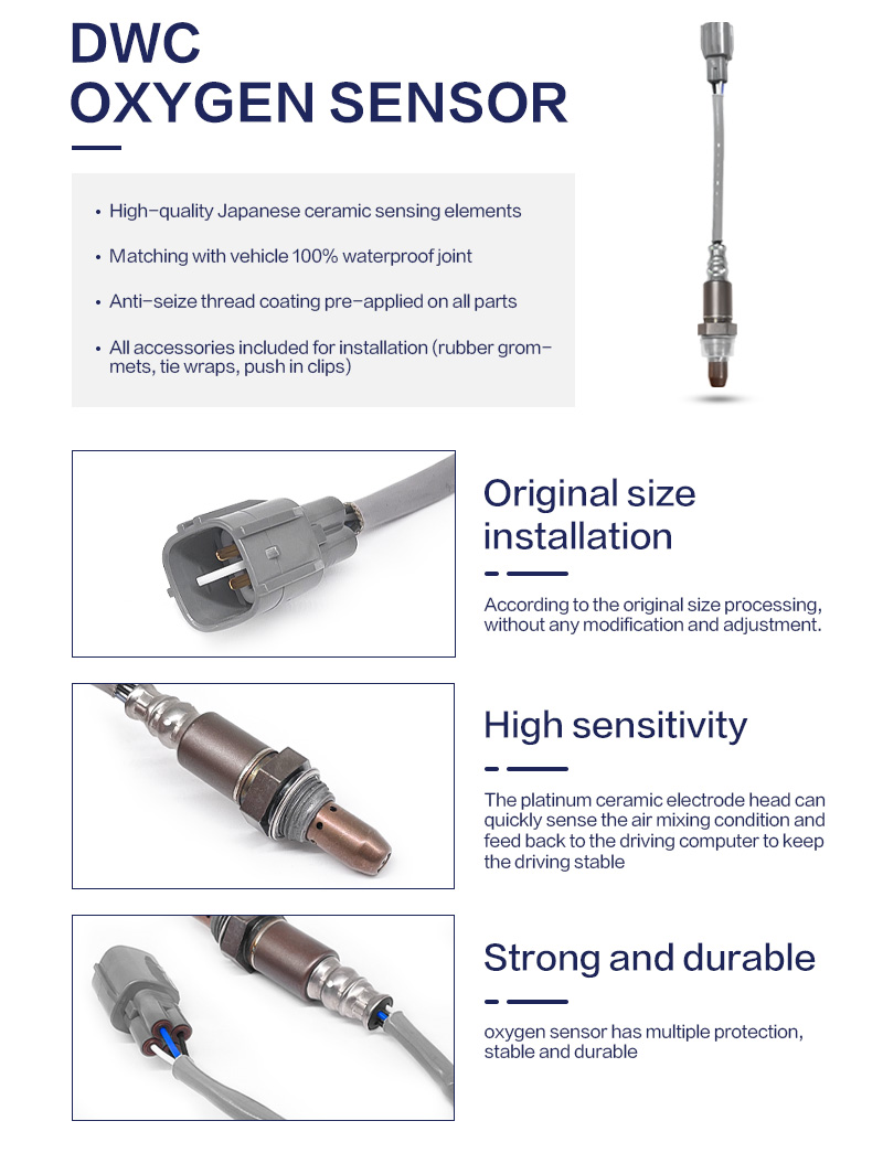 Oxygen Sensor Detail 3