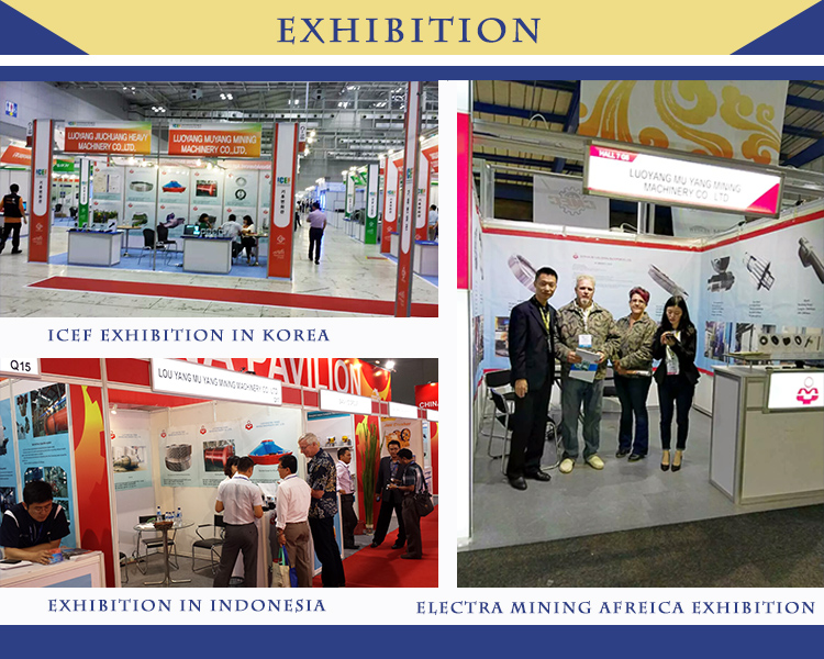 Global Exhibition Showcase