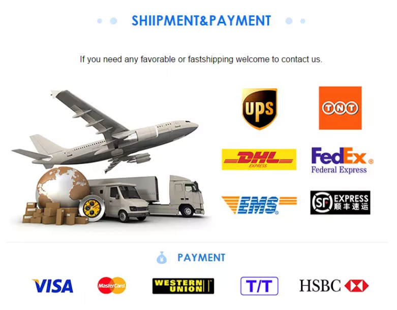 Shipping Logistics 1