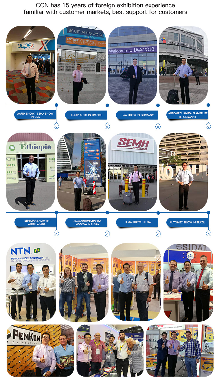 CCN Exhibitions