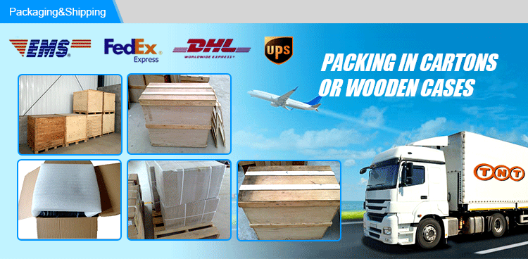 Packaging and Shipping Options