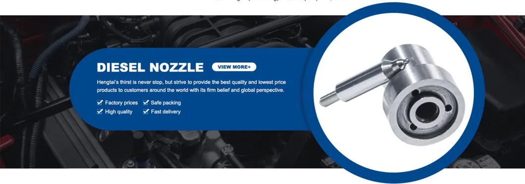 Common Rail Diesel Fuel System