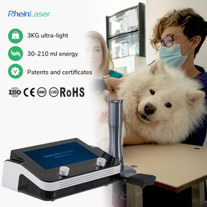 Sw-200 Shockwave Focused Vet Therapy Machine 6 Bar Extracorporeal Shock Wave Therapy Machine for Animal Clinics